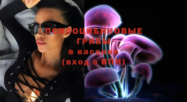 дурь Белокуриха