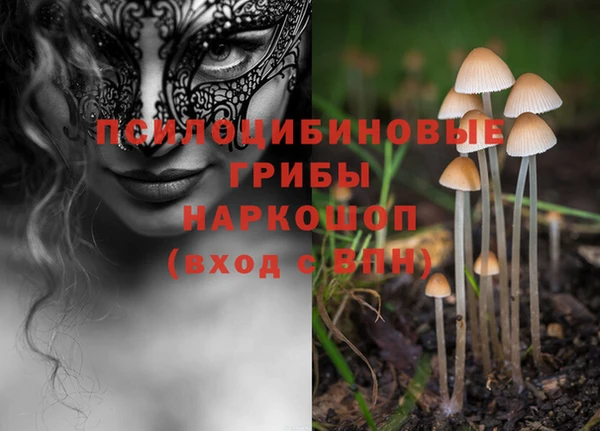 синтетический гашиш Белоозёрский